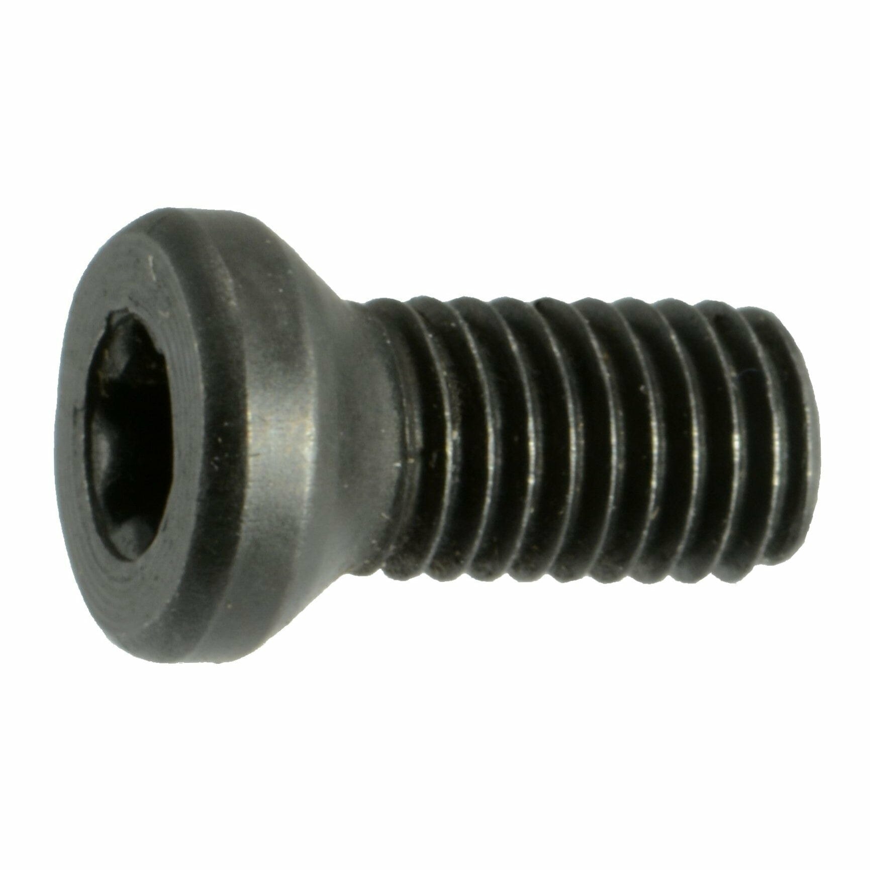 Fasteners, Gun Screws,#6-48 x 1/4″, Star Oval Head Gun Screws