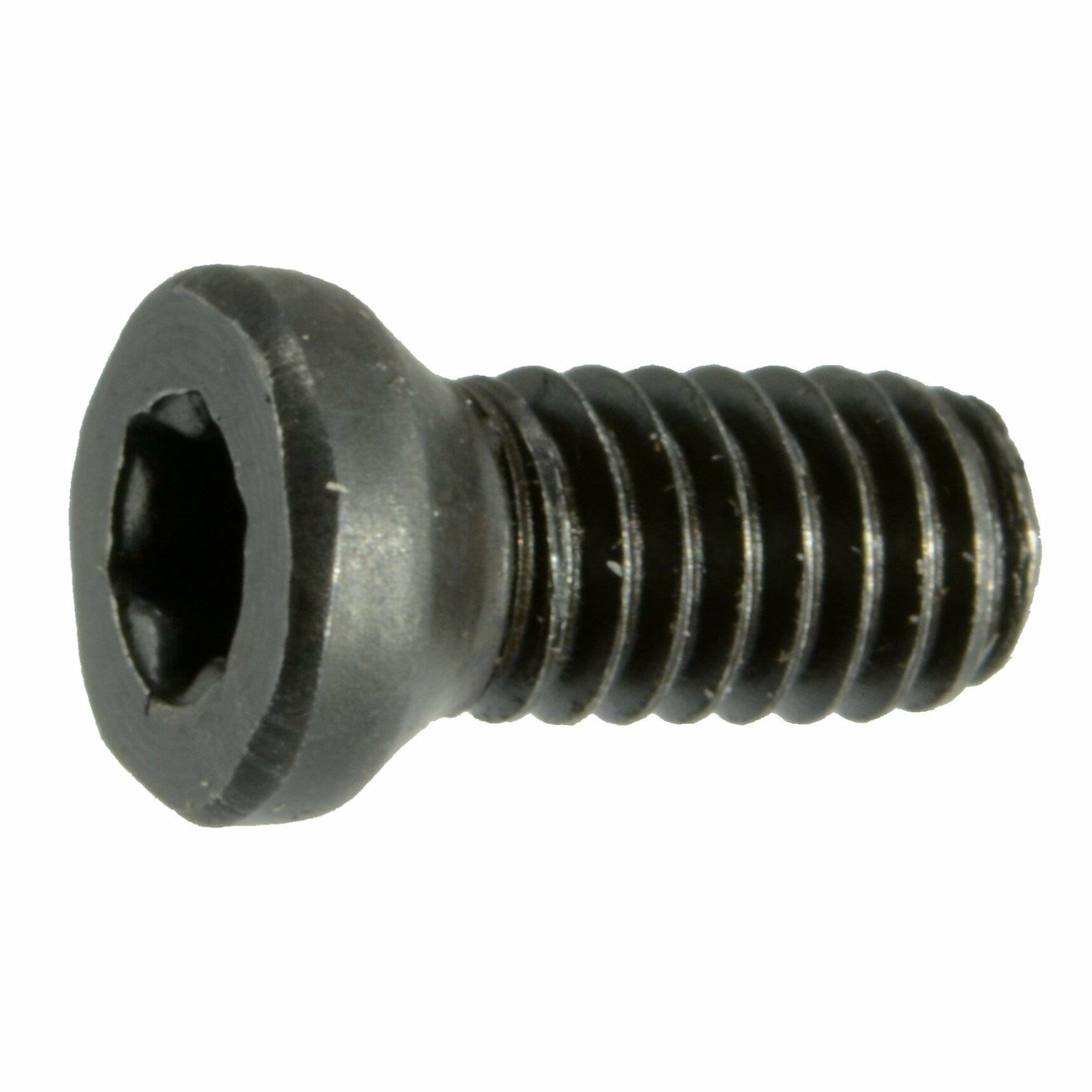 Fasteners, Gun Screws,#6-40 x 1/4″, Star Oval Head Gun Screws