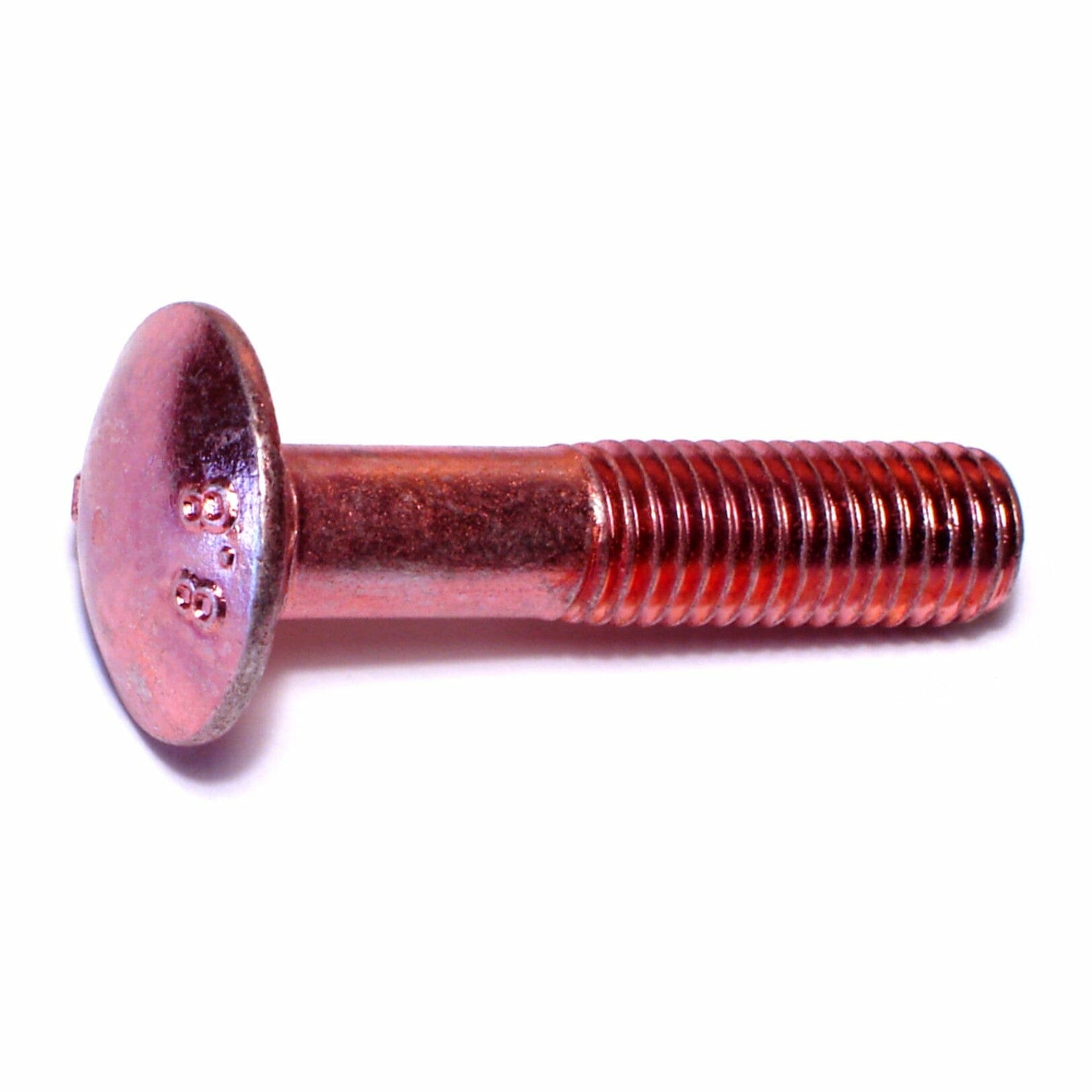 Fasteners, Bolts,12mm-1.75mm x 55mm, Carriage Bolts