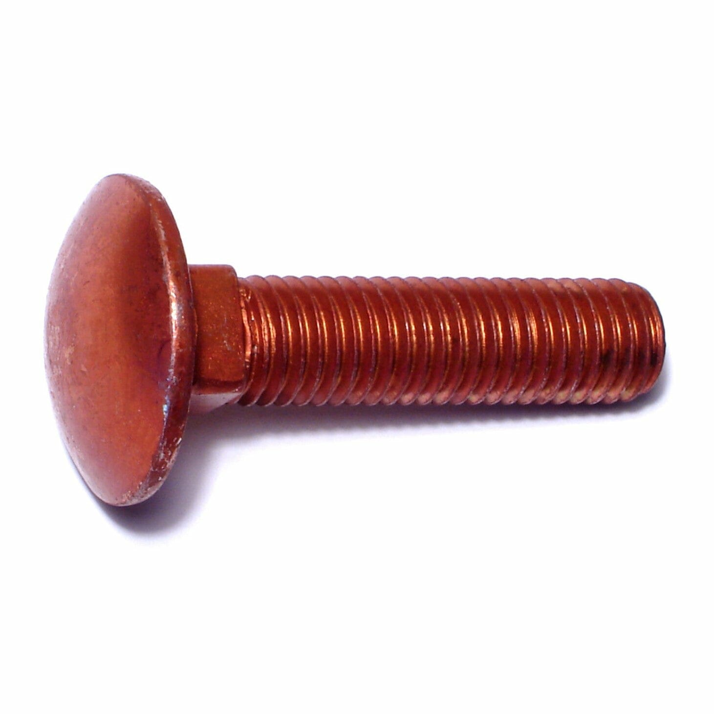 Fasteners, Bolts,12mm-1.75mm x 50mm, Carriage Bolts